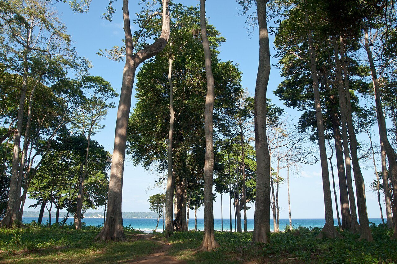 Turquoise waters of the Andaman Islands