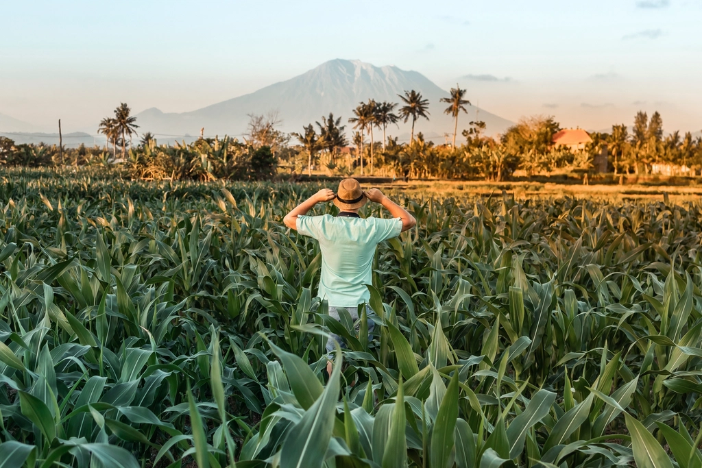 bali