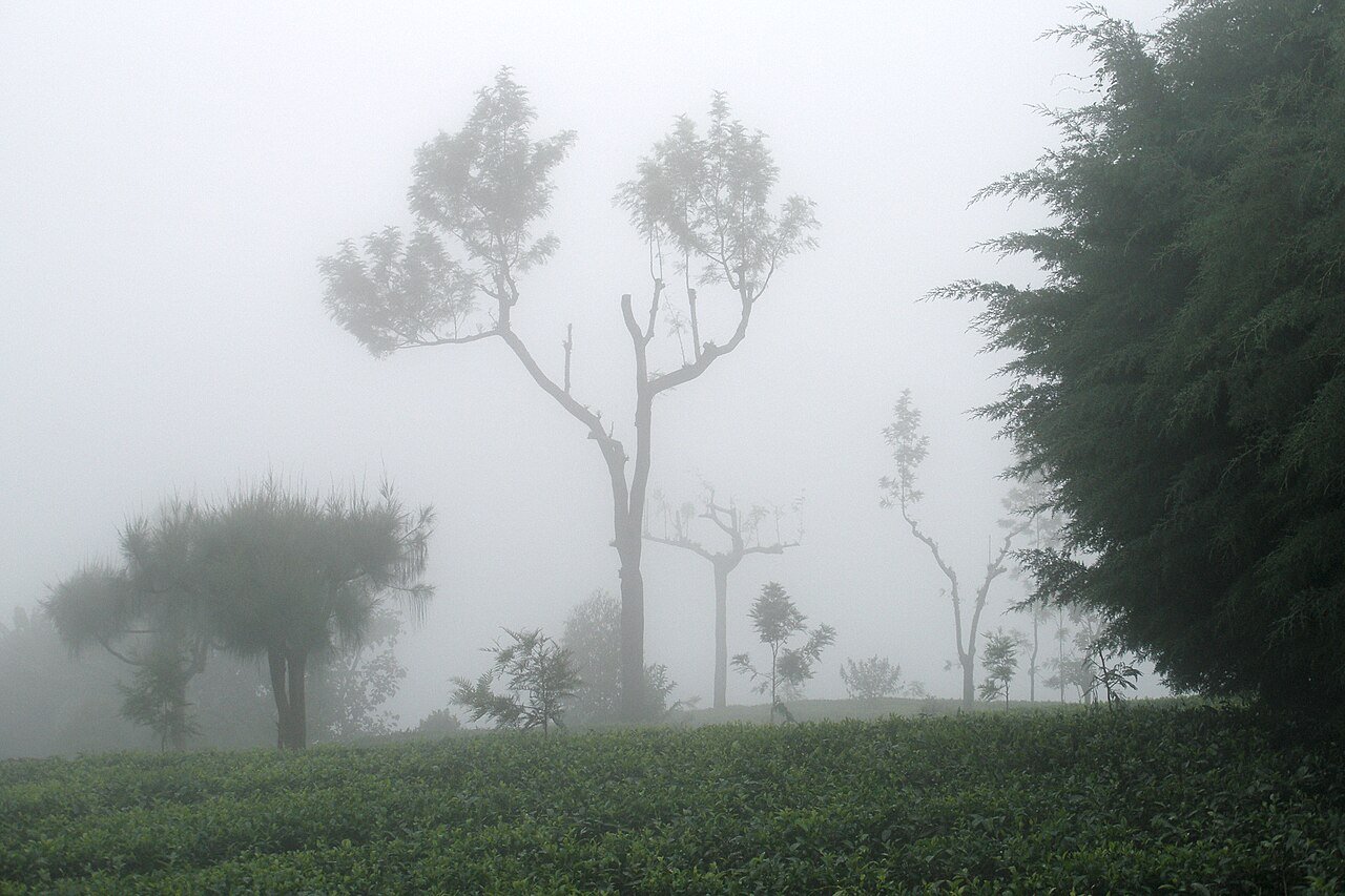 sri lanka travel