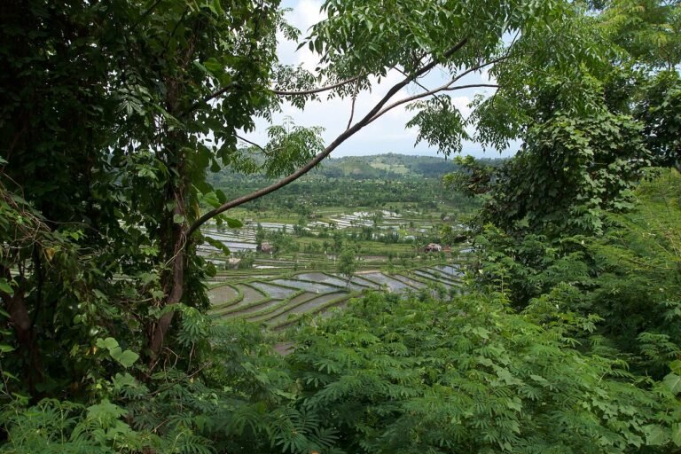 bali travel