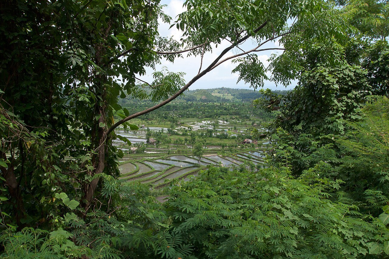 bali travel