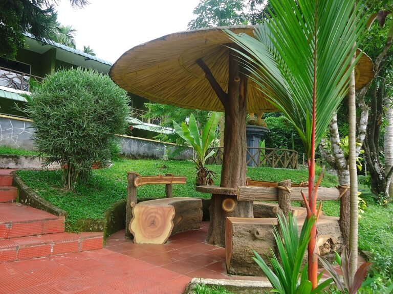 wellness ayurveda