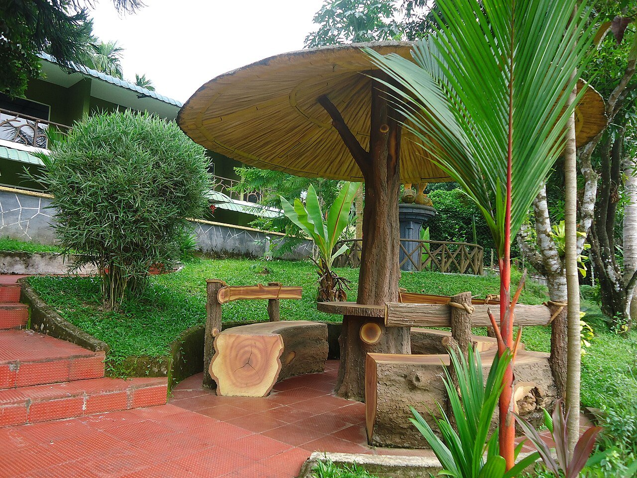 wellness ayurveda