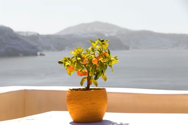 greece