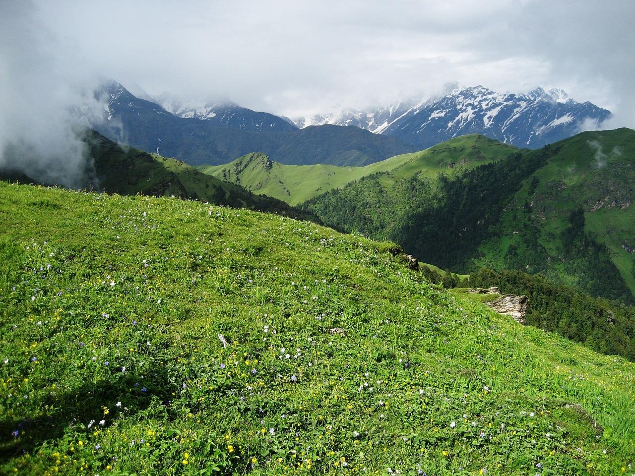 Alpine meadows and snow peaks around Auli