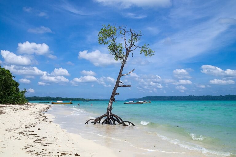 Andaman Islands 2026 - First-Time Visitors Complete Guide