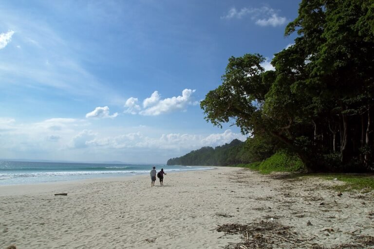 Andaman Islands Travel Guide 2026 — Beaches, Best Time, Permits & Itinerary