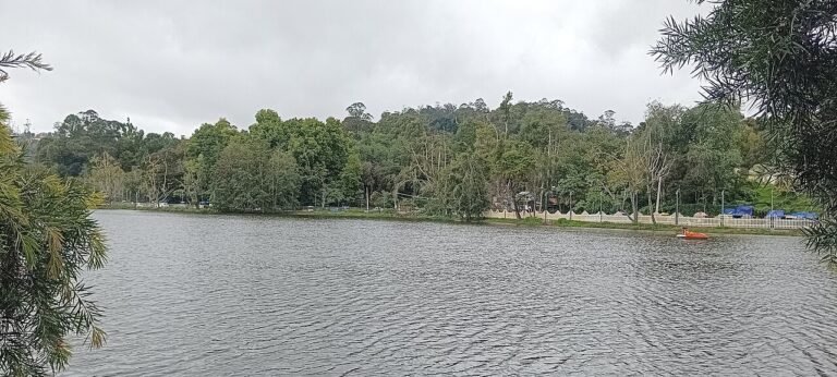 Kodaikanal Travel Guide 2026 — Lake, Viewpoints, Best Time & 2-Day Plan