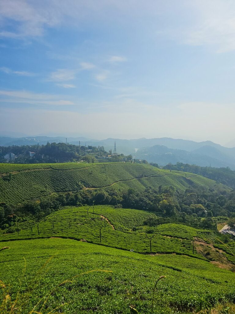 Munnar Travel Guide (2026)