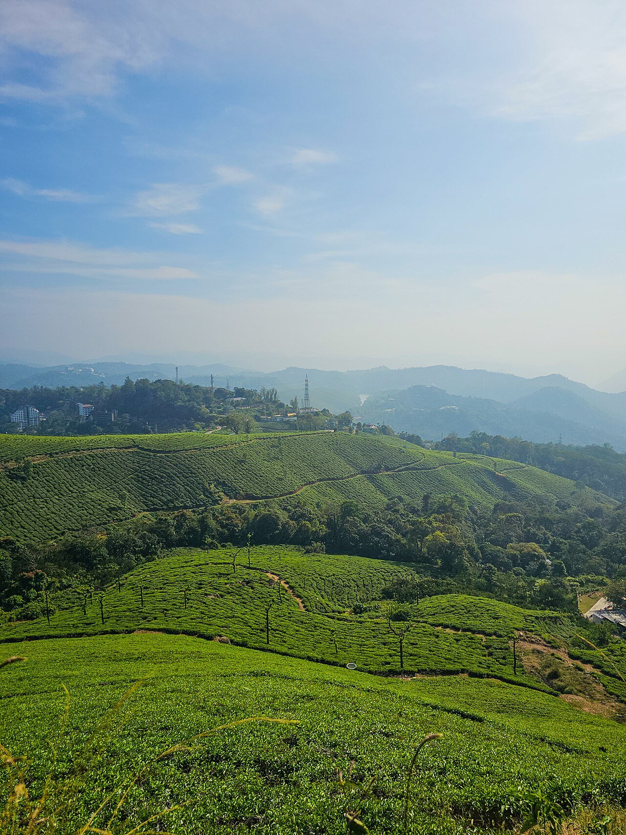 Munnar Travel Guide (2026)
