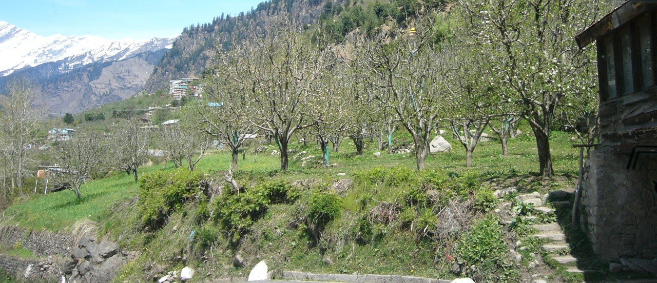 The mountains around Manali