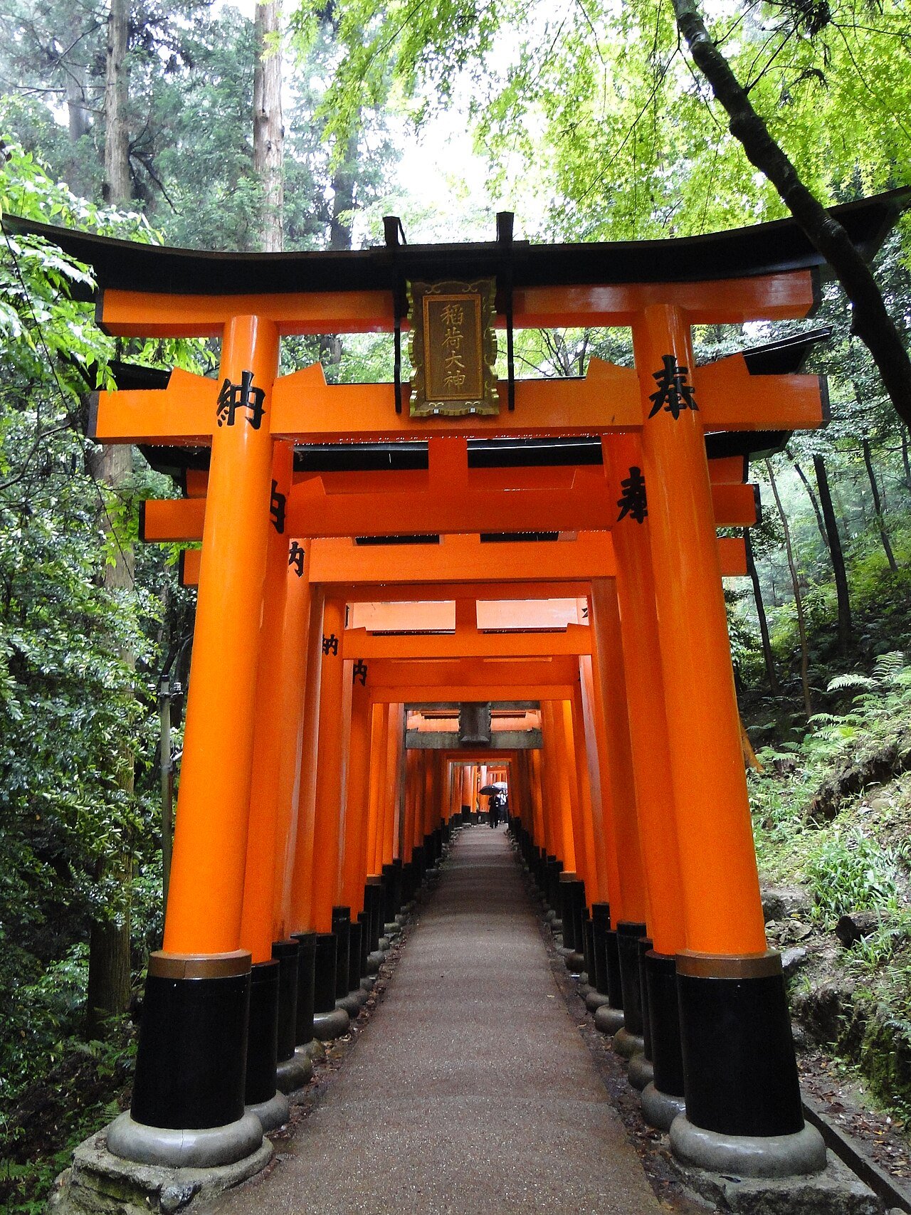Torii gates in Kyoto