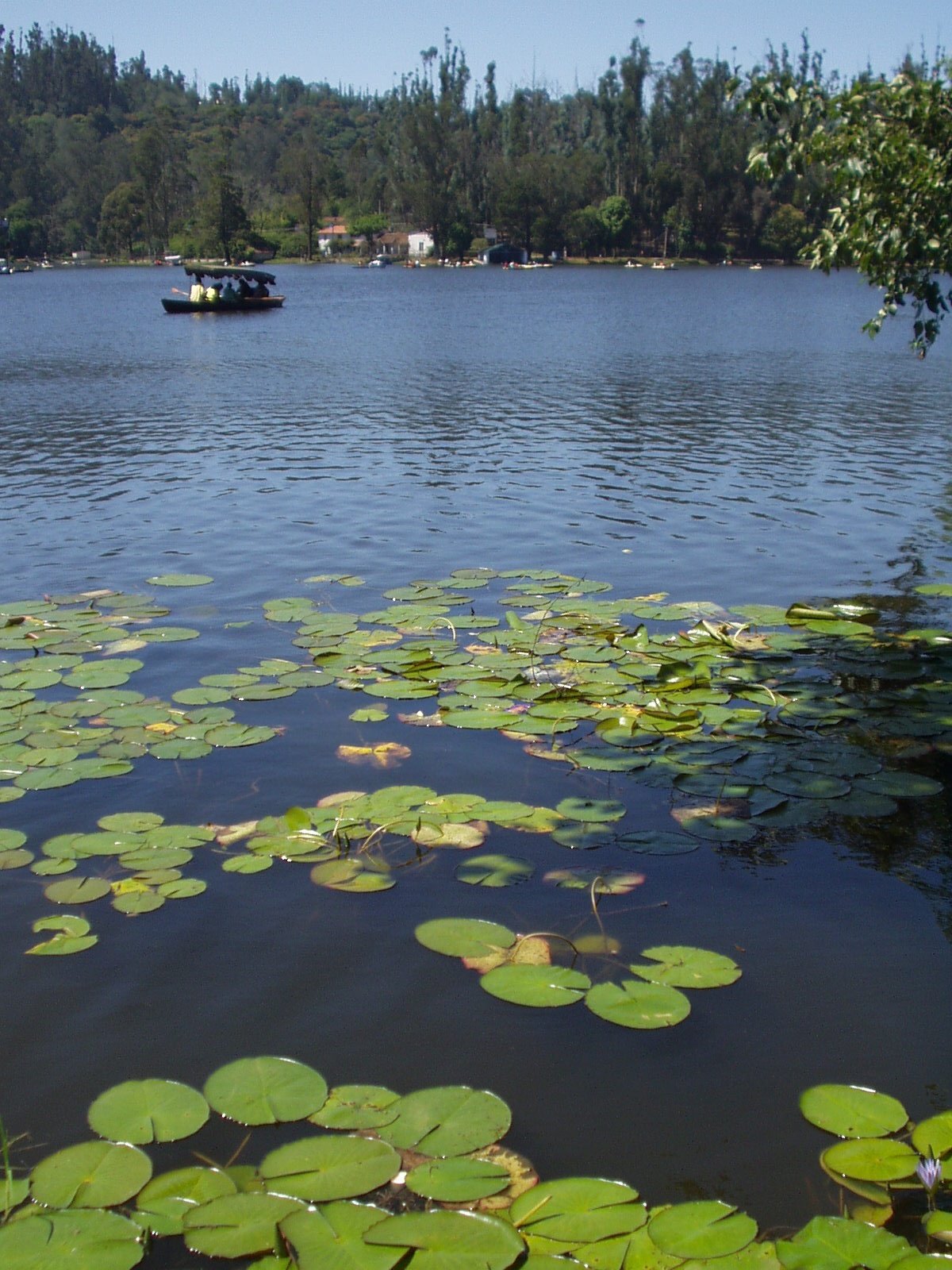 Star-shaped Kodai Lake