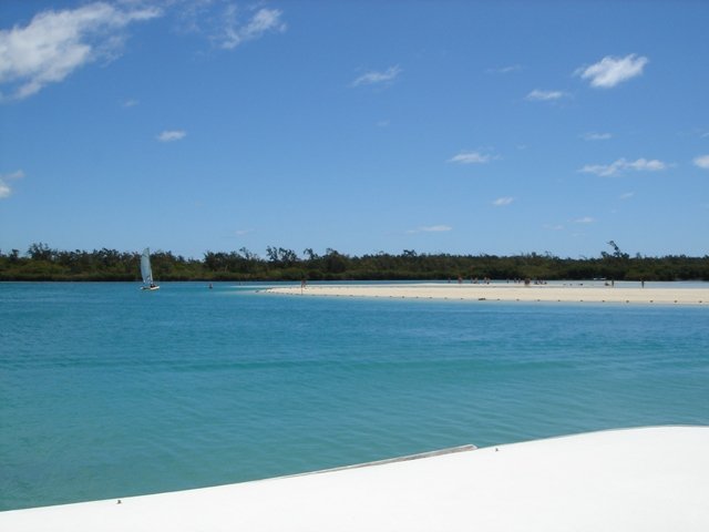 A palm-fringed beach in Mauritius
