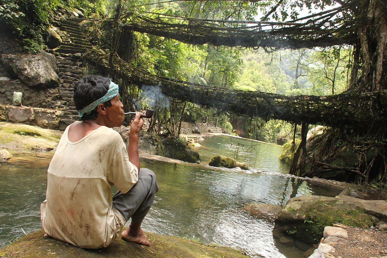 A double-decker living root bridge in Meghalaya