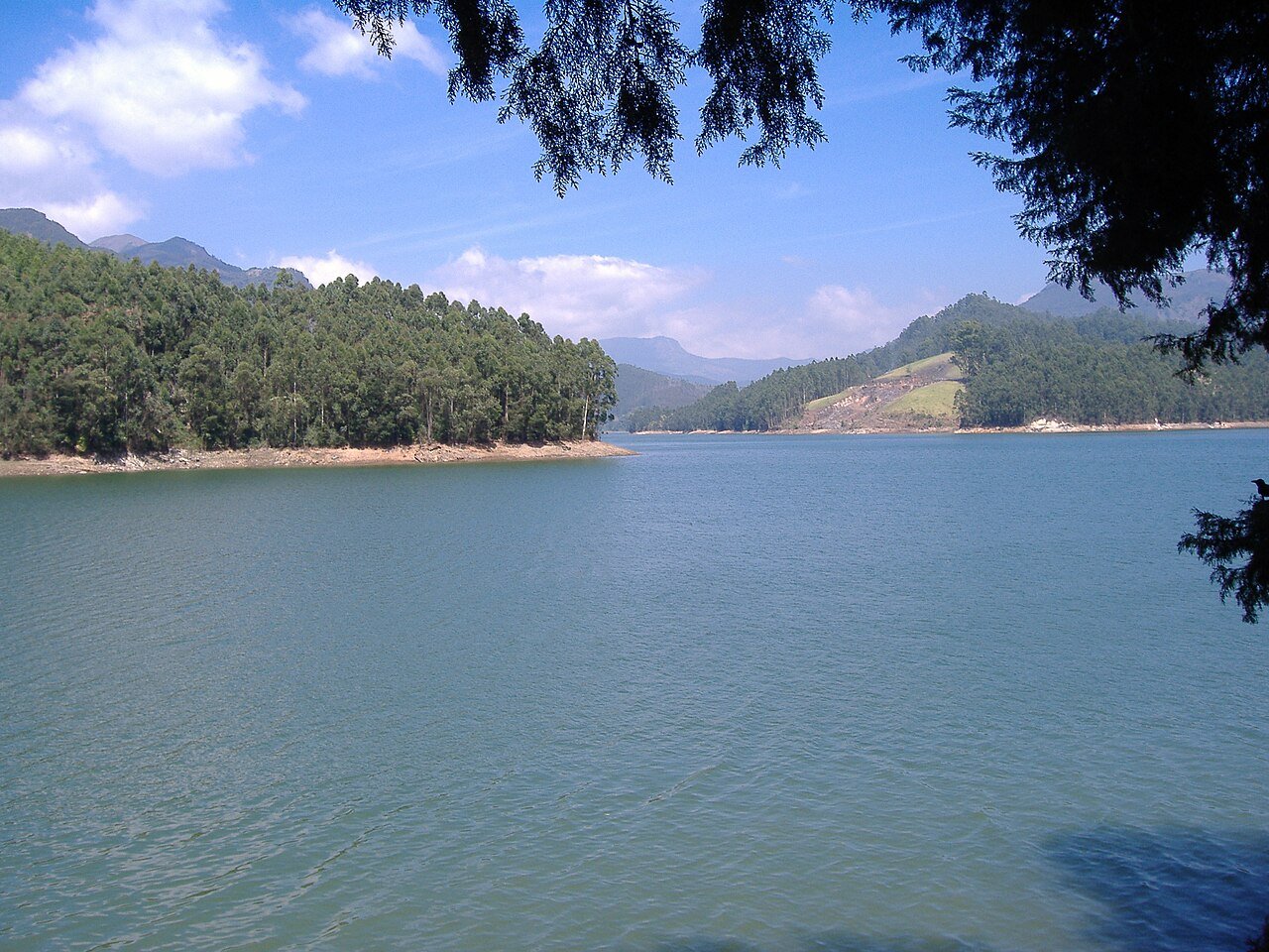 A lake and dam near Munnar