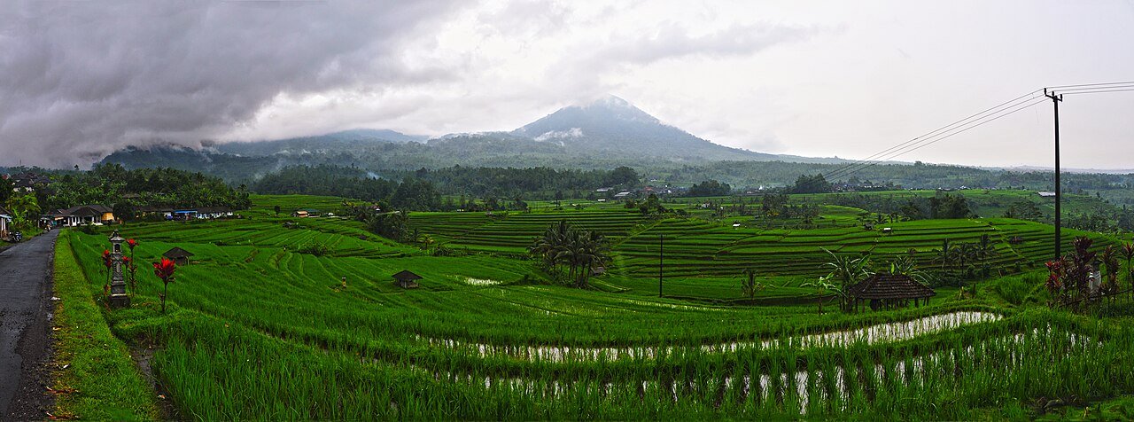 Bali rice terrace travel photo