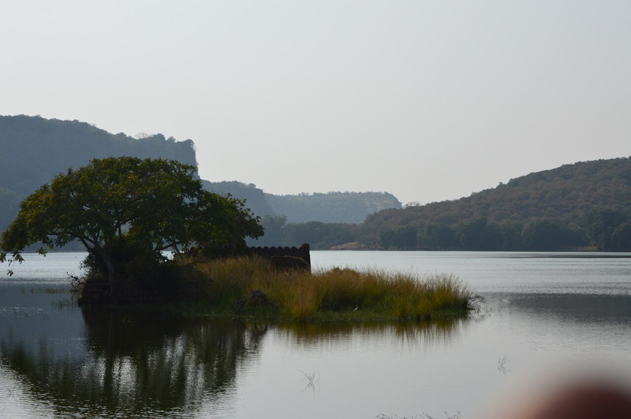 A lake and landscape in Ranthambore