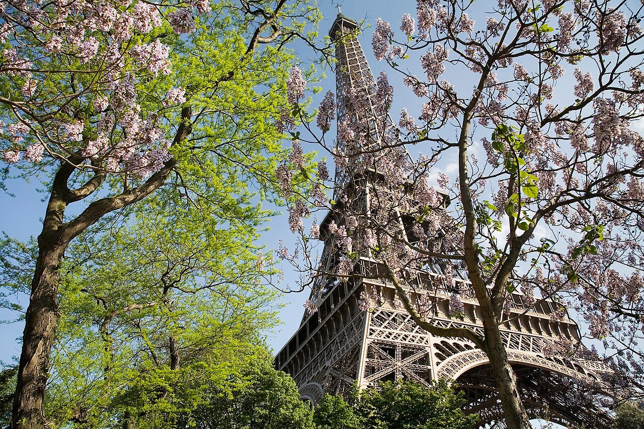 Eiffel Tower, Paris